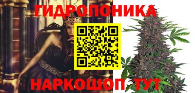 mdpv Пушкино